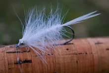 User submitted picture: The White