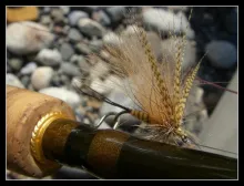 User submitted picture: Mouche de Mai #1
(May fl...