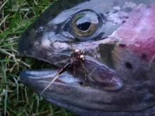 User submitted picture: rainbow took my "rainbow ...