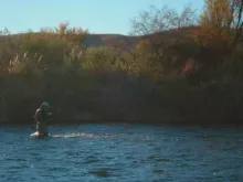 User submitted picture: Alain checking the fly in...