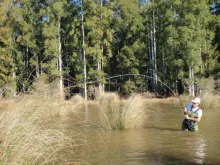 User submitted picture: My wife Carolina, fightin...