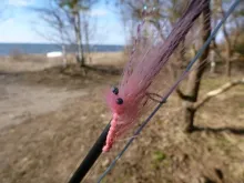 User submitted picture: Teppegrisen (Craft-Fur-Pa...