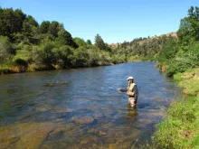 User submitted picture: Into the wild river by ww...