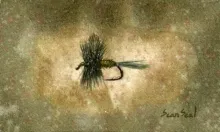 User submitted picture: This is my watercolor ren...