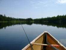 User submitted picture: Trolling leech pattern on...