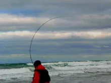 User submitted picture: fighting against the wind...