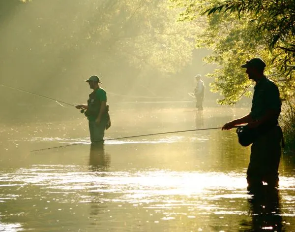 User submitted picture: Fishing at Dawn