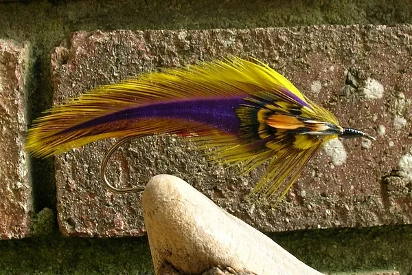 User submitted picture: "Ice"