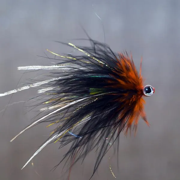 User submitted picture: Punker