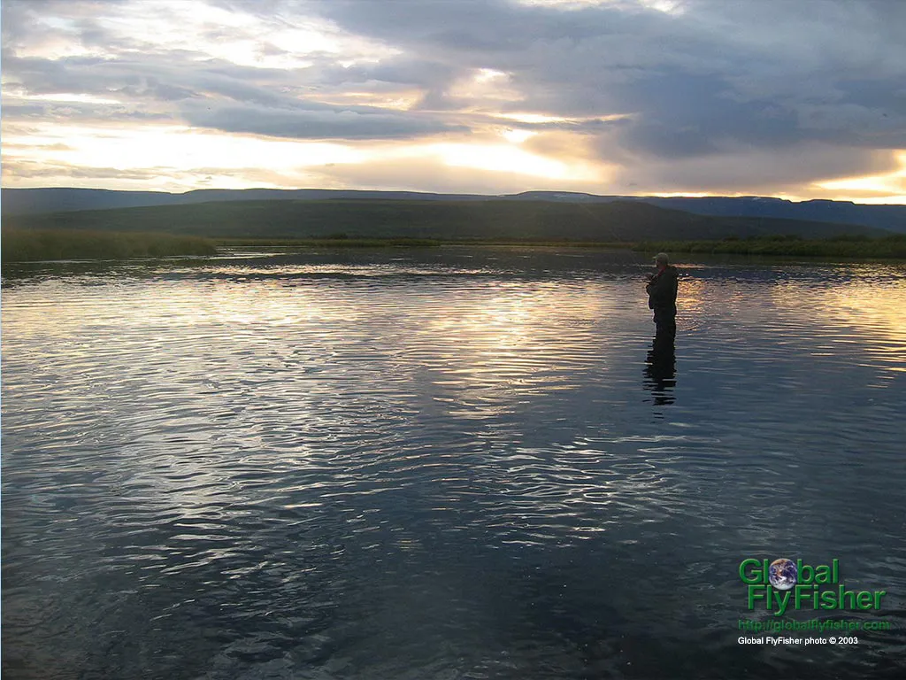 Computer screen wallpaper: Asger fighting an Icelandic trout